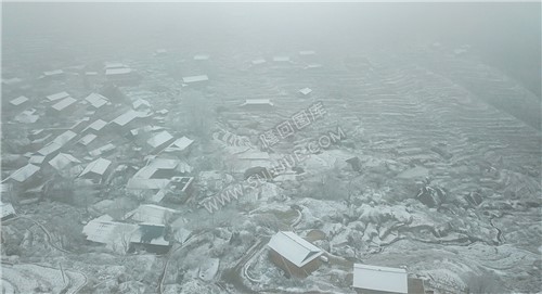大托村春节期间的雪景