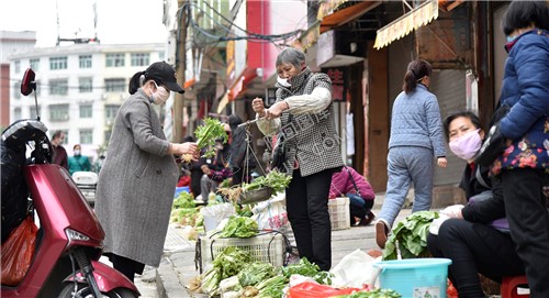 购买蔬菜的市民