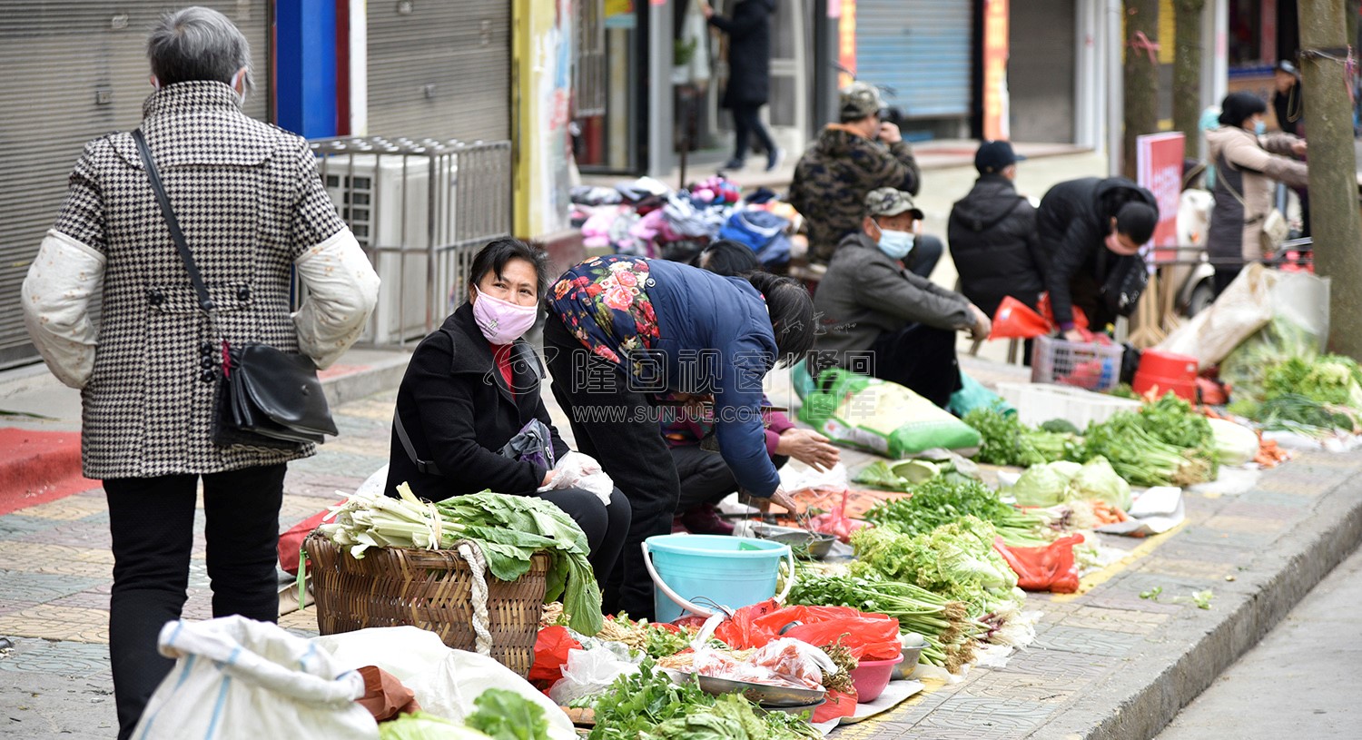 一排排蔬菜琳琅满目