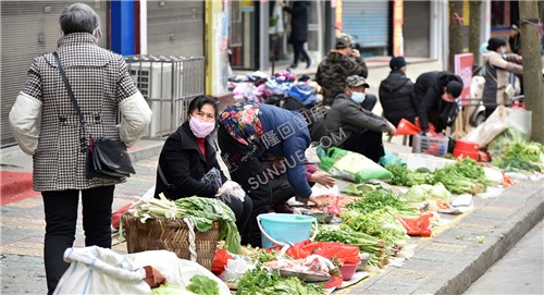 一排排蔬菜琳琅满目