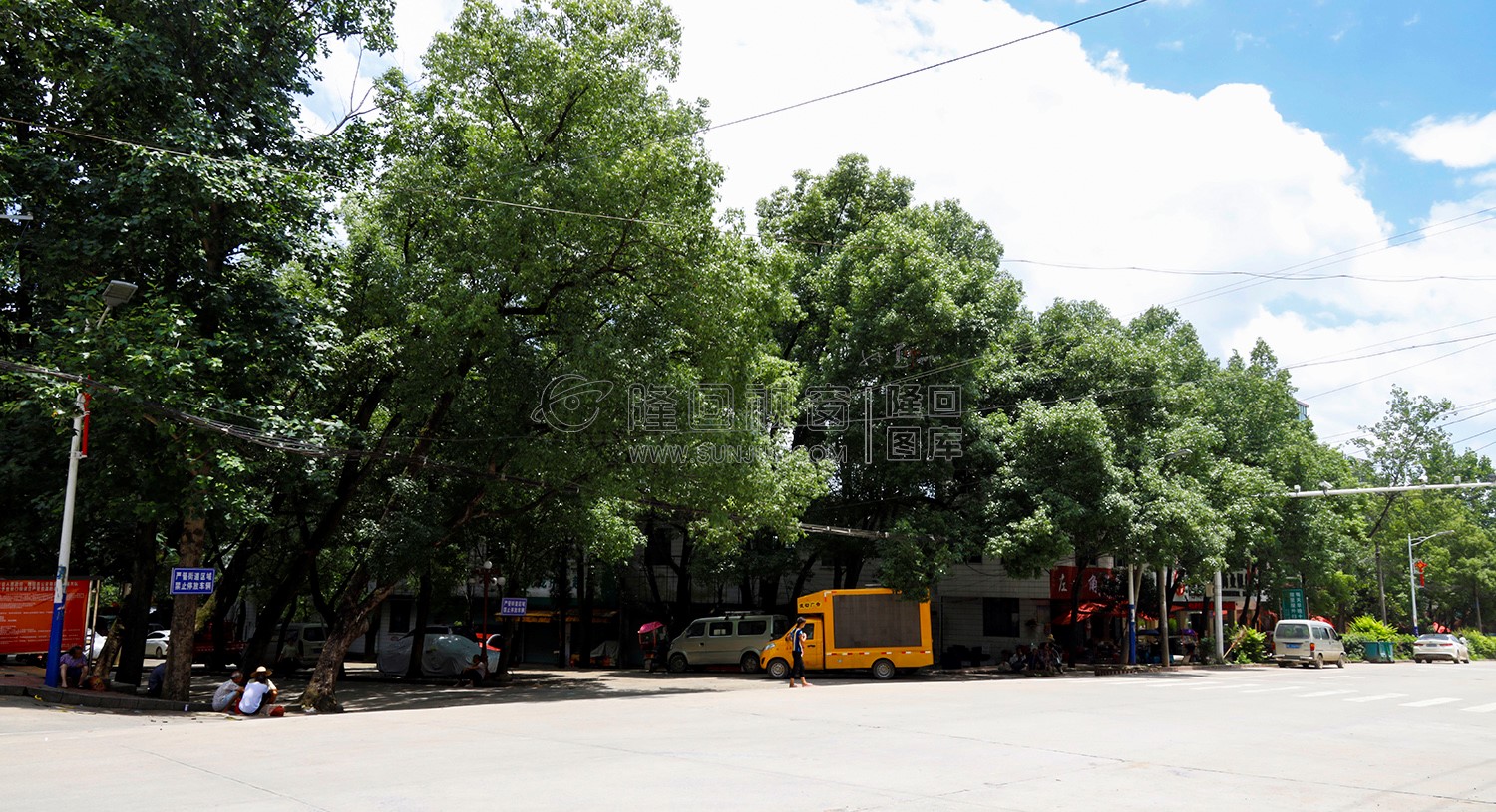 街道绿树成荫