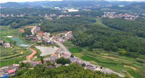 池塘边上为公交终点站