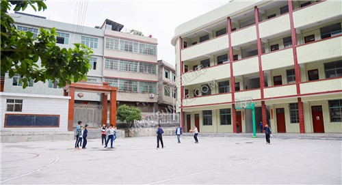 课外活动的学生们