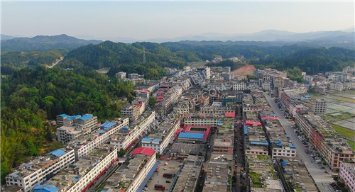 镇中心农贸市场