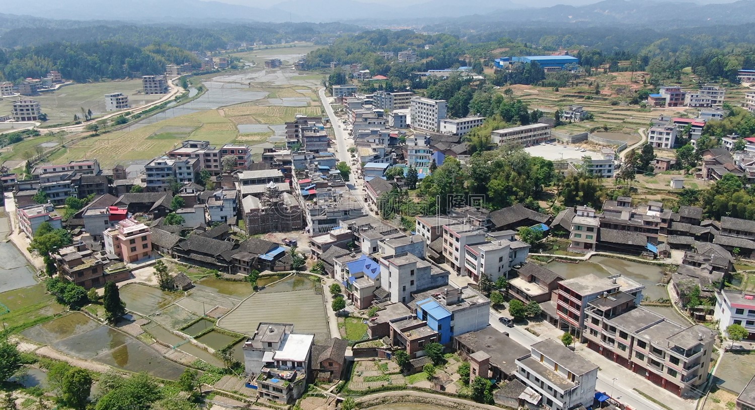七江镇鸟树下村