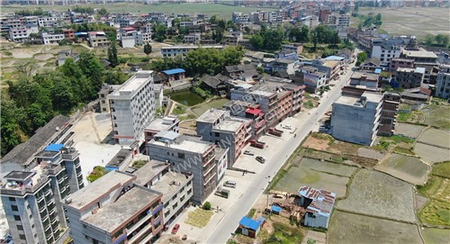 鸟树下中学周边