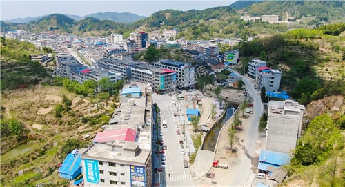 小沙江镇，金银花之乡