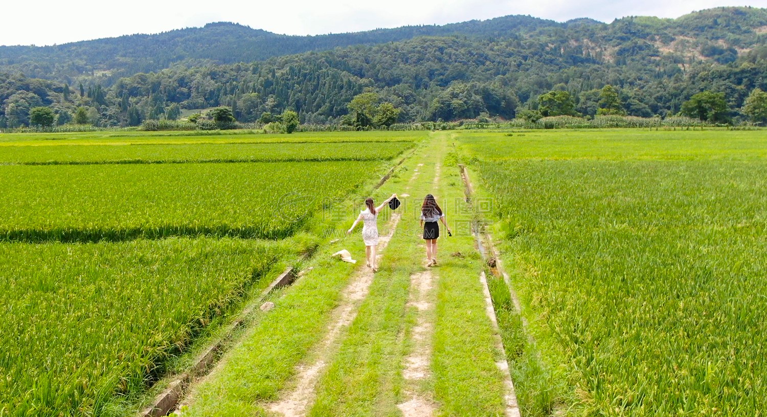 大磨洲乡村田园风光