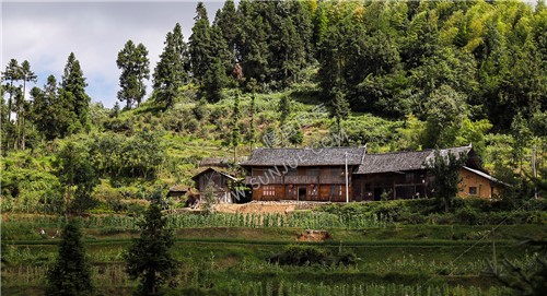 一组乡村田园风光照片