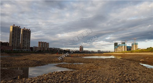 河面游玩的市民