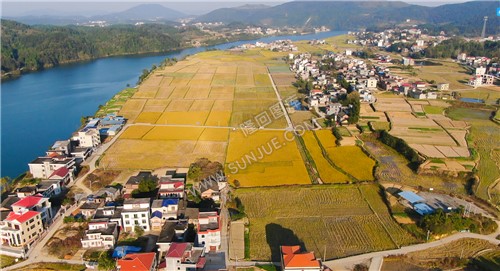 龙洲村田园风光