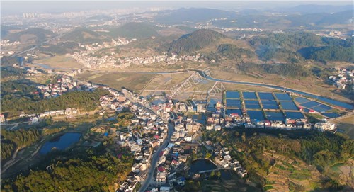 小江河旁的渔场