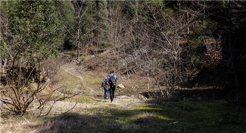 徒步进山
