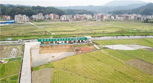 袁隆平超级杂交水稻基地