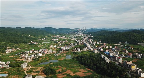 田坝村 龙河村方向