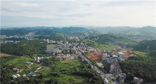 开发中的农贸市场