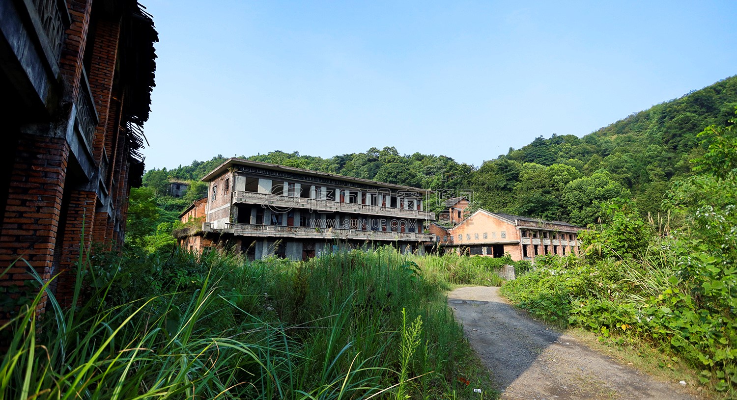 淹没杂草中的楼房