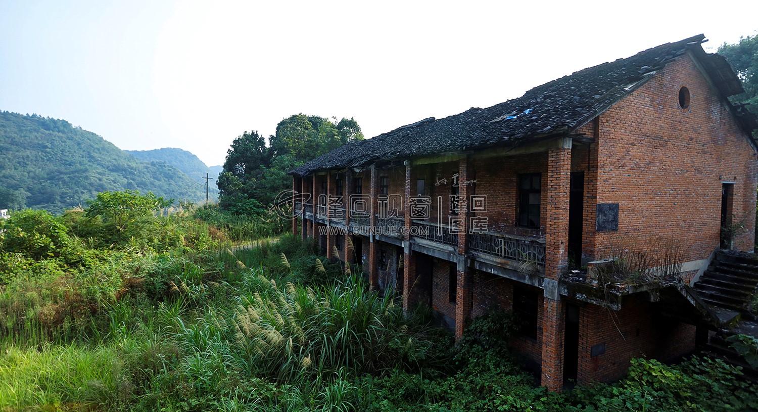 淹没杂草中的楼房