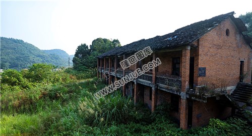 淹没杂草中的楼房