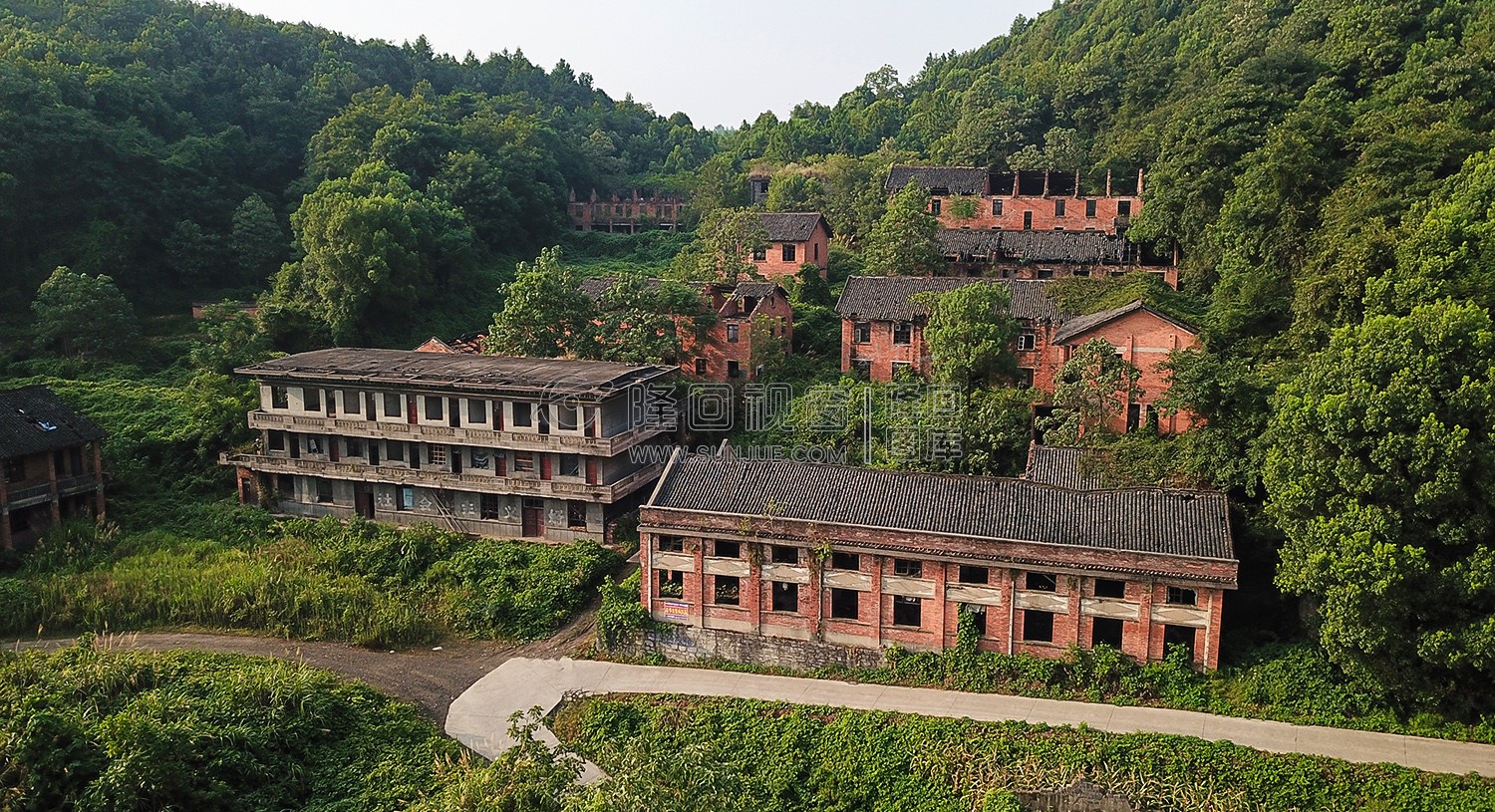 红砖青瓦的老建筑，淹没在灌木丛中