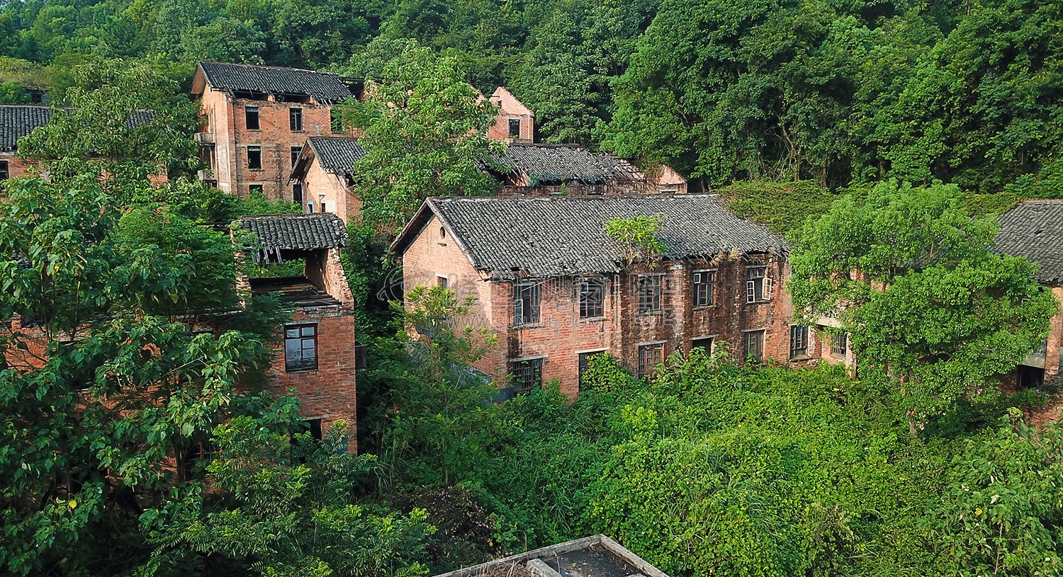 红砖青瓦的老建筑，淹没在灌木丛中