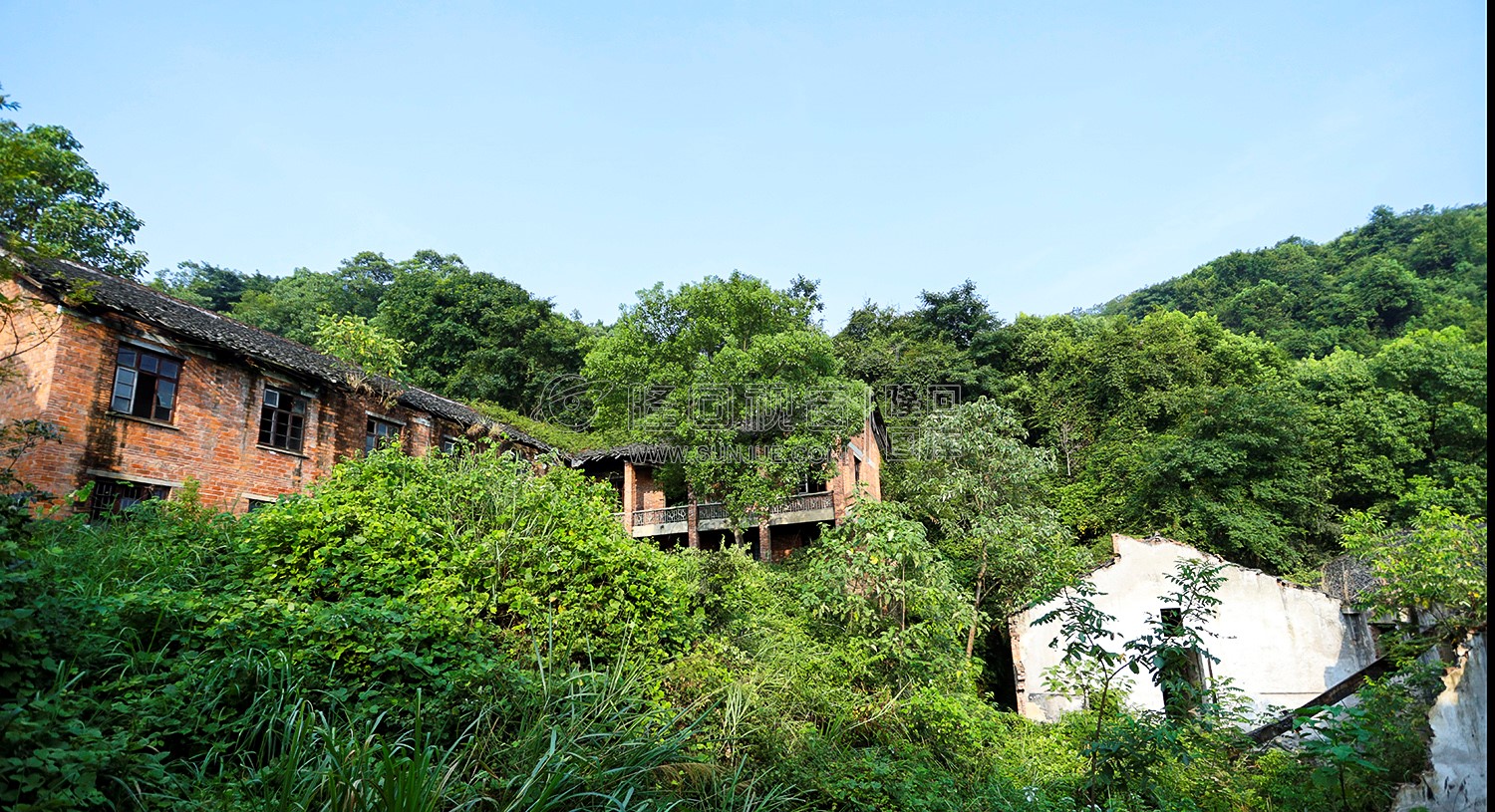 淹没杂草中的楼房