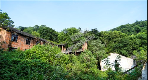 淹没杂草中的楼房