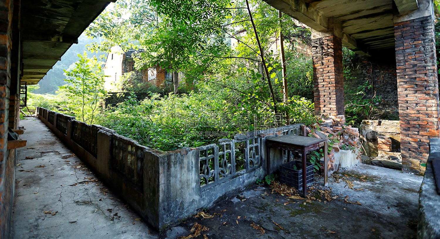 淹没杂草中的楼房