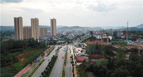 隆回大道花门口