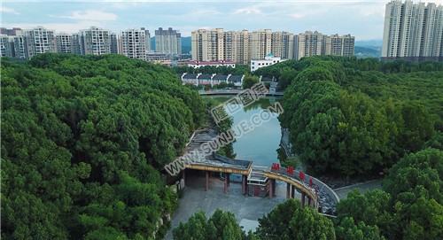 湖湘学校门口，公园游湖