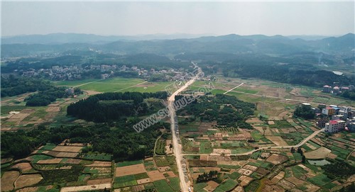 罗白加油站处路段