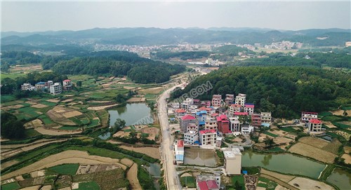 落马井村路段龙眼村