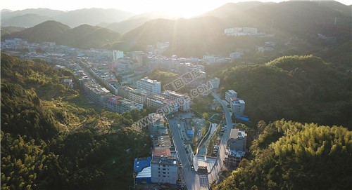 隆回小沙江镇，中国金银花之乡