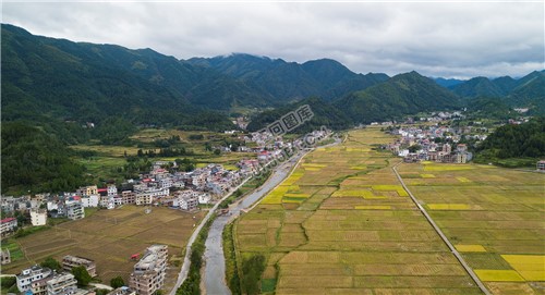 航拍苏河村村落