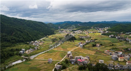 西洋江旁的星月村