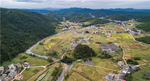 西洋江旁的星月村