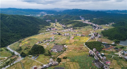 西洋江旁的星月村