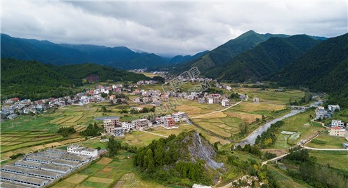 西洋江旁的星月村