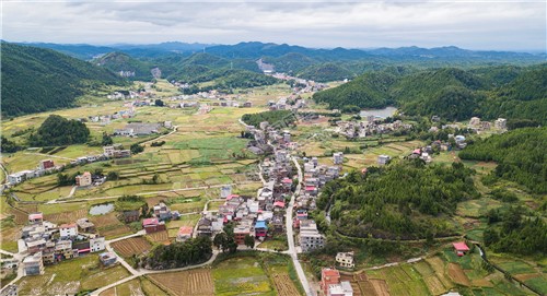 西洋江旁的星月村