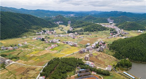 西洋江旁的星月村