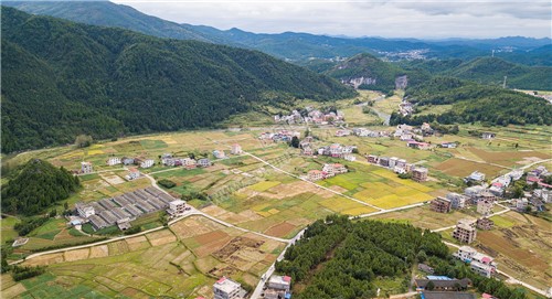 西洋江旁的星月村