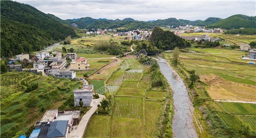 西洋江旁的星月村