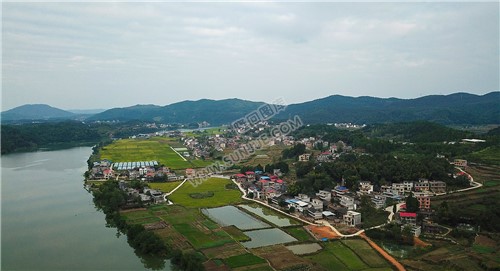 赧水河畔的大磨洲