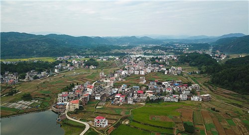 龙洲村，赧水河畔的乡村田园风光