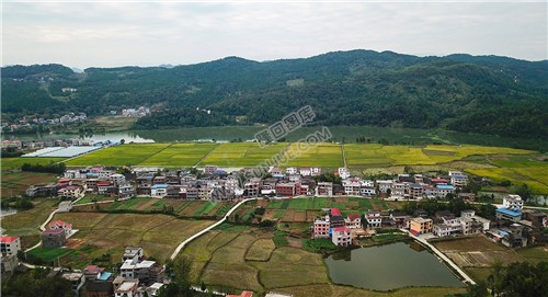 赧水河畔的大磨洲