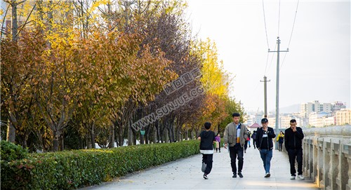 隆回县城的秋天