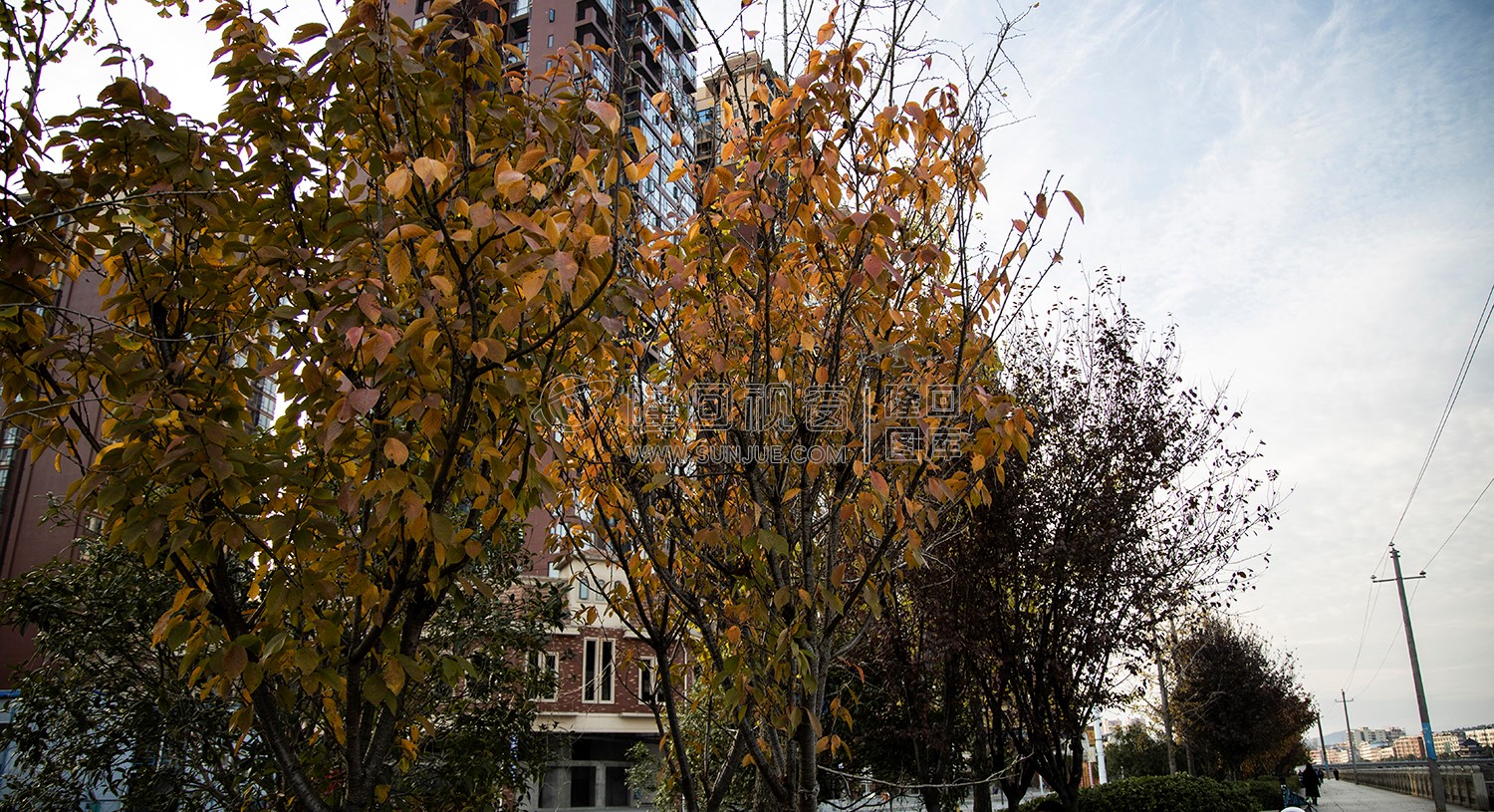 隆回县城的秋天