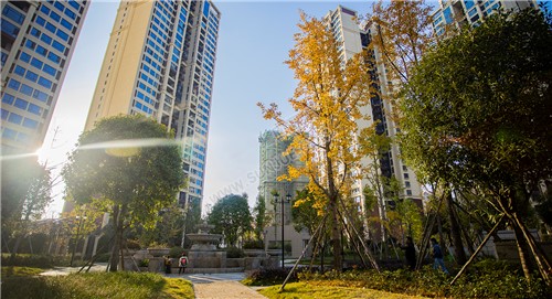 江语城小区花园秋天风景