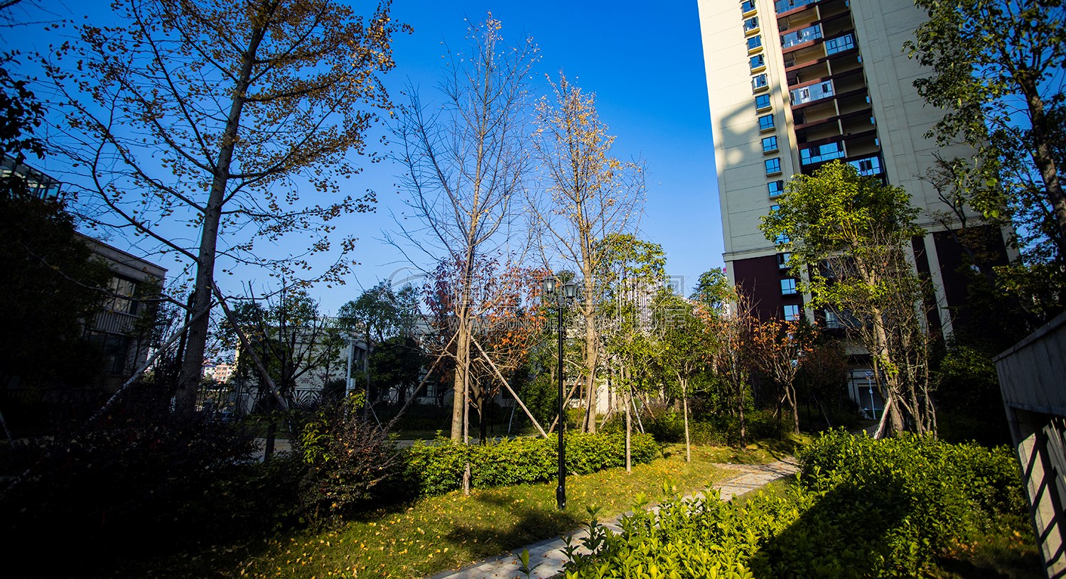 江语城小区花园秋天风景