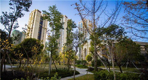 江语城小区花园秋天风景